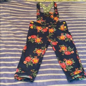 Wildest dream overalls